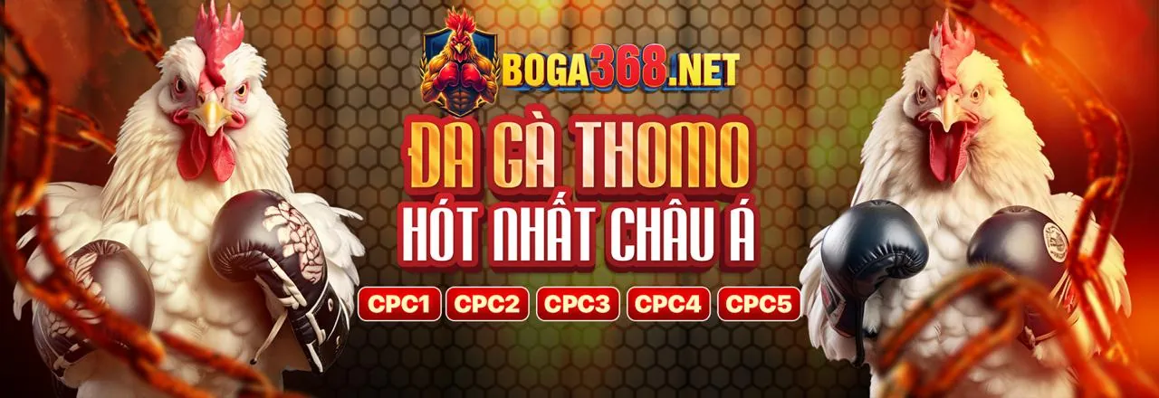 Giao diện ứng dụng cf68 trên điện thoại
