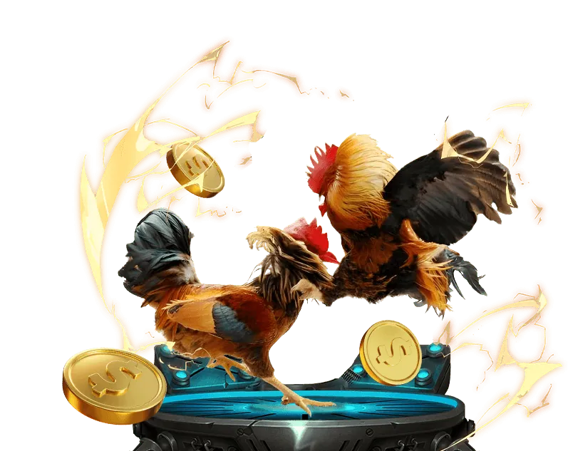 Hình ảnh minh họa các bước tham gia và nâng cấp VIP